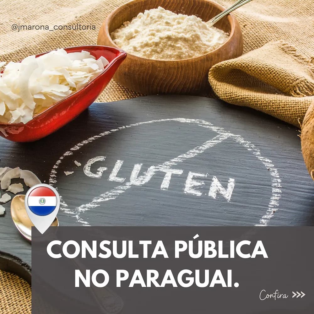 Consulta Pública no Paraguai