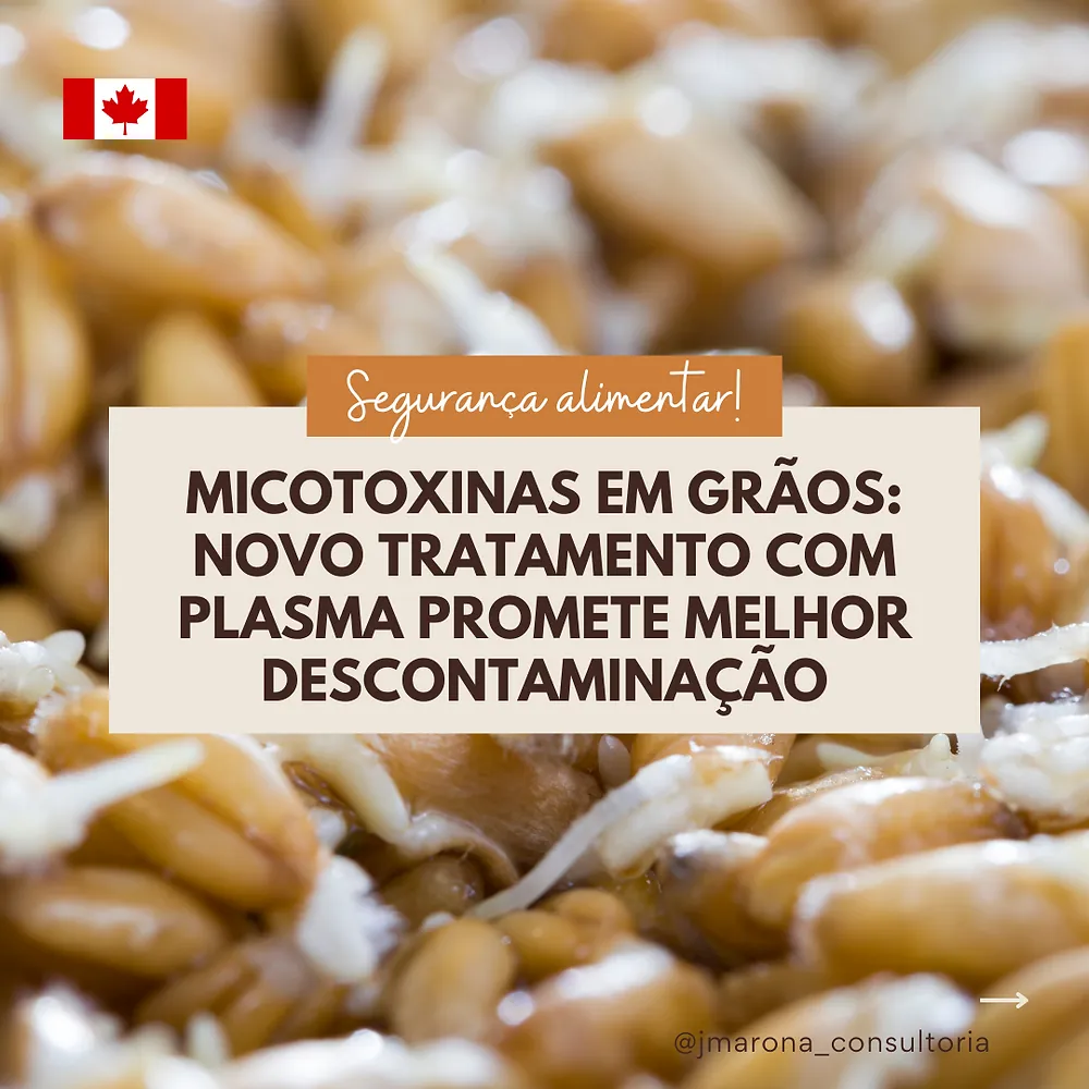 Micotoxinas em grãos: novo tratamento com plasma promete melhor descontaminação
