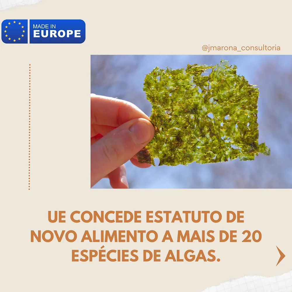 UE concede estatuto de novo alimento a mais de 20 espécies de algas