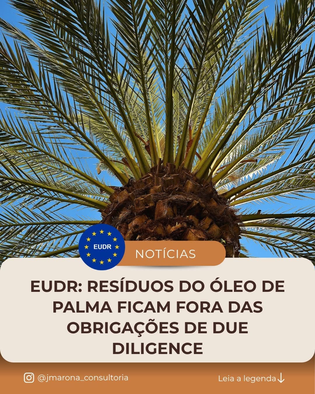 Mudança no escopo do EUDR: resíduos do óleo de palma ficam fora das obrigações de due diligence do regulamento europeu s