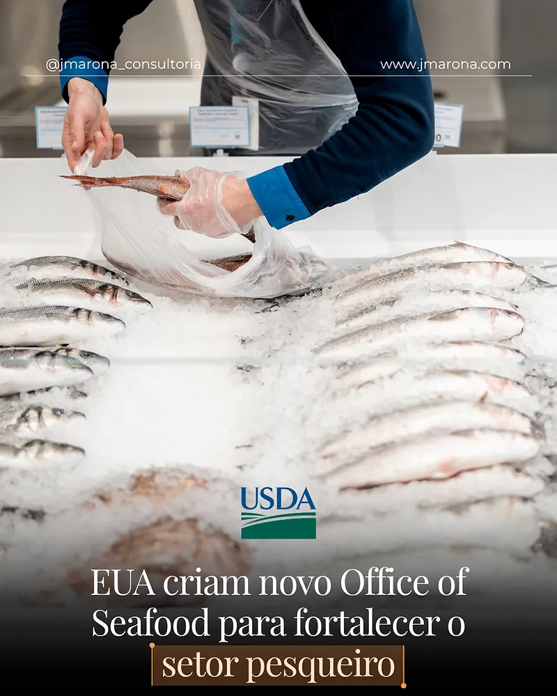 EUA criam novo Office of Seafood para fortalecer o setor pesqueiro