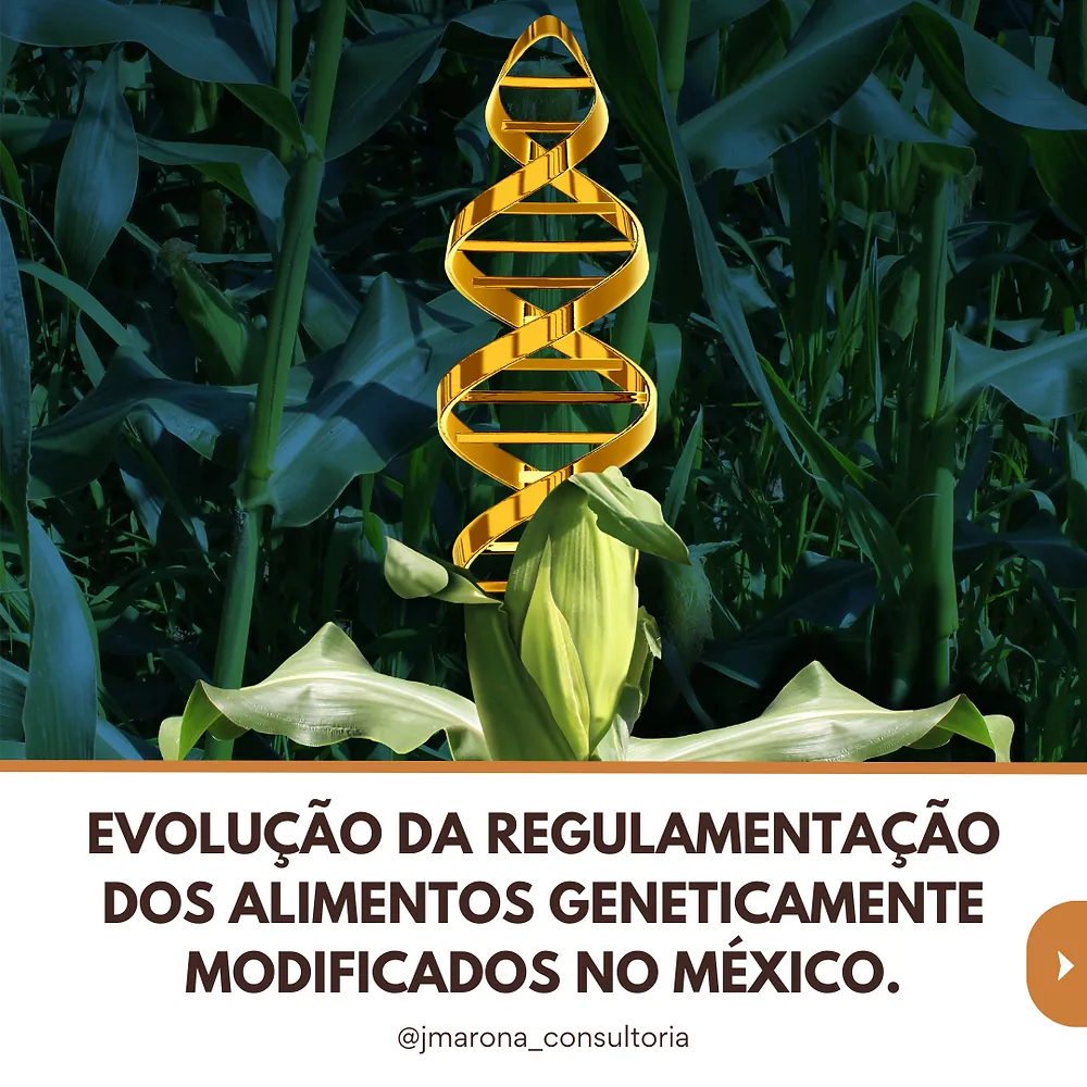 Evolução da Regulamentação dos Alimentos Geneticamente Modificados no México
