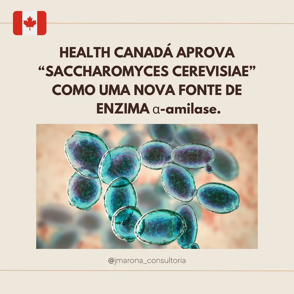 Health Canadá aprova “Saccharomyces cerevisiae” como uma nova fonte de enzima α-amilase