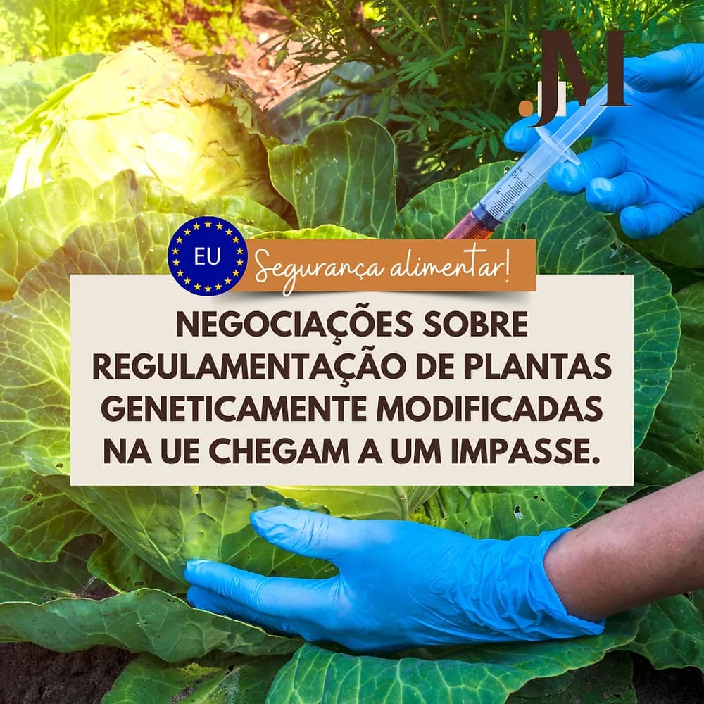 Negociações sobre regulamentação de plantas geneticamente modificadas na UE chegam a um impasse